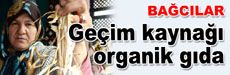 Organik gıda satarak geçimlerini sağlıyorlar