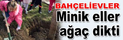 Bahçelievler'de minik eller ağaç dikti...