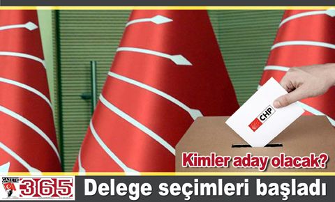 CHP, delege seçimi için sandık başında